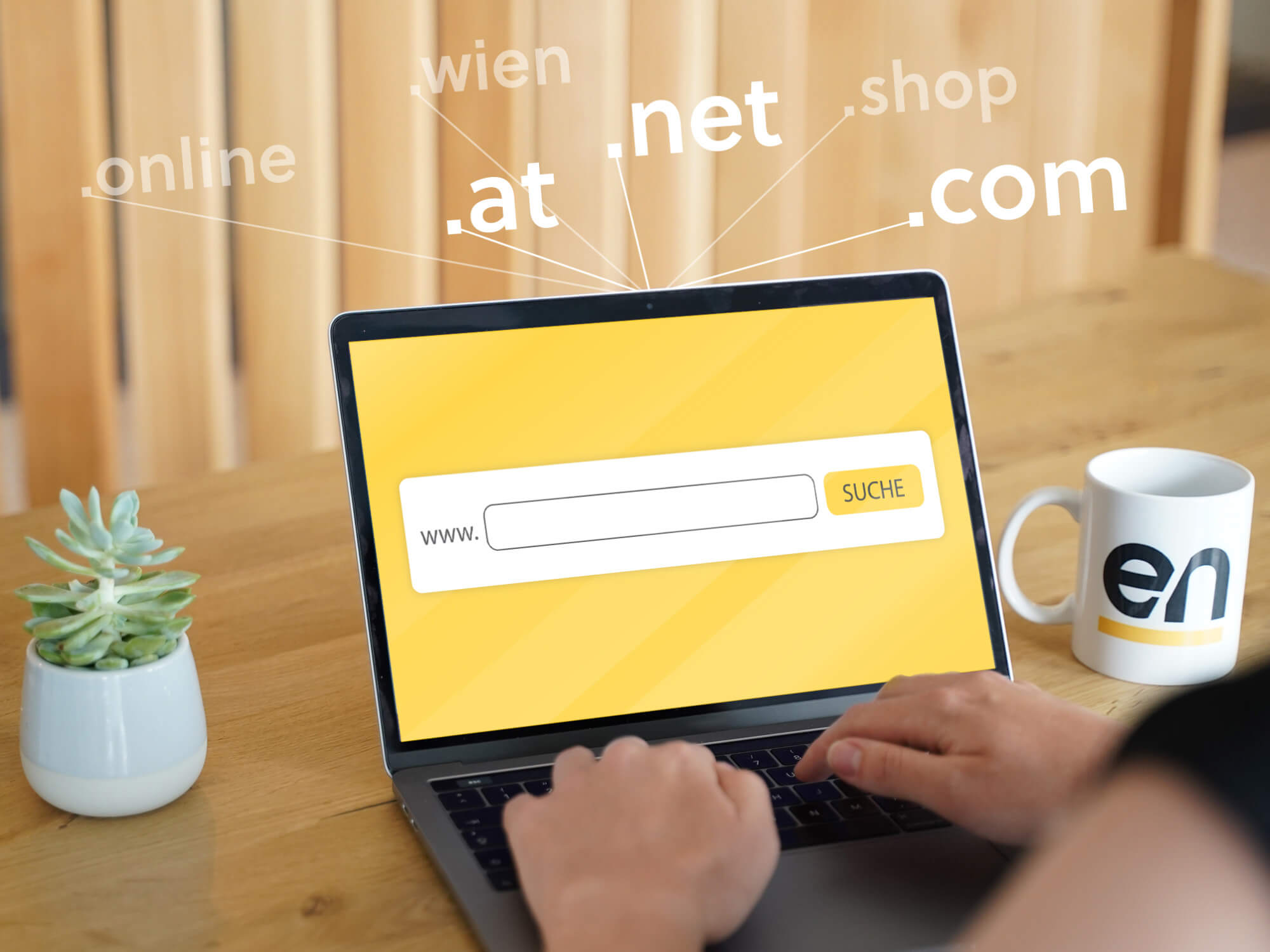 Domain sichern | easyname